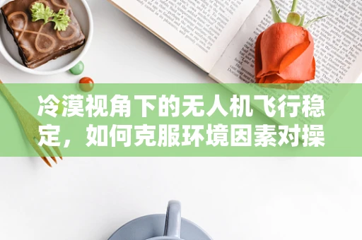 冷漠视角下的无人机飞行稳定，如何克服环境因素对操控的干扰？