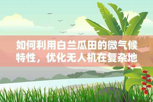 如何利用白兰瓜田的微气候特性，优化无人机在复杂地形下的飞行稳定性？