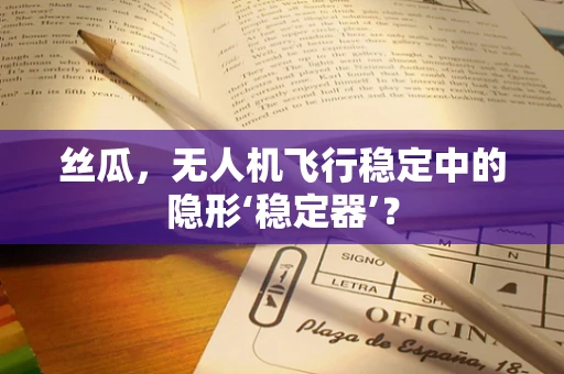 丝瓜，无人机飞行稳定中的隐形‘稳定器’？