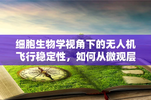 细胞生物学视角下的无人机飞行稳定性，如何从微观层面提升飞行性能？