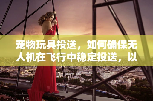 宠物玩具投送，如何确保无人机在飞行中稳定投送，以防止宠物玩具偏离目标？