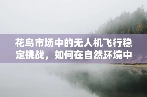 花鸟市场中的无人机飞行稳定挑战，如何在自然环境中保持精准操控？