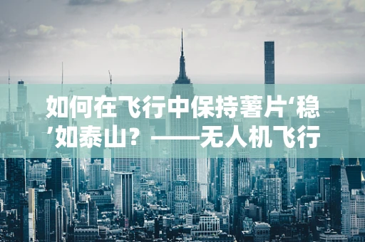 如何在飞行中保持薯片‘稳’如泰山？——无人机飞行稳定性的挑战与对策