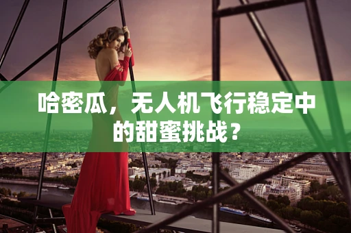 哈密瓜，无人机飞行稳定中的甜蜜挑战？