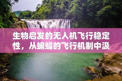 生物启发的无人机飞行稳定性，从蝙蝠的飞行机制中汲取灵感