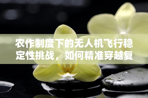 农作制度下的无人机飞行稳定性挑战，如何精准穿越复杂农田？