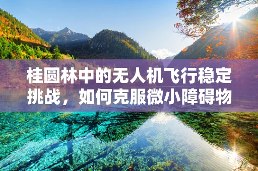 桂圆林中的无人机飞行稳定挑战，如何克服微小障碍物？