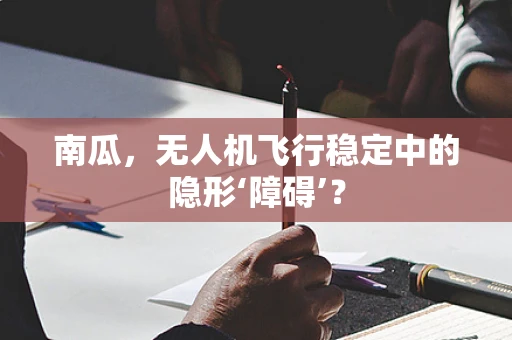 南瓜，无人机飞行稳定中的隐形‘障碍’？