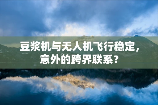 豆浆机与无人机飞行稳定，意外的跨界联系？