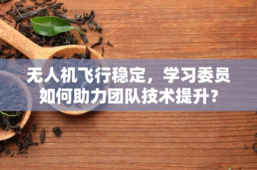 无人机飞行稳定，学习委员如何助力团队技术提升？