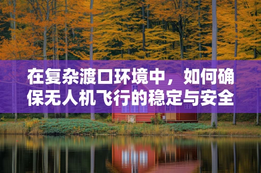 在复杂渡口环境中，如何确保无人机飞行的稳定与安全？