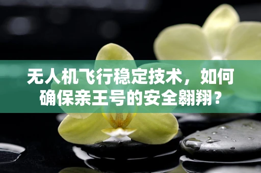 无人机飞行稳定技术，如何确保亲王号的安全翱翔？