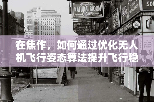 在焦作，如何通过优化无人机飞行姿态算法提升飞行稳定性？