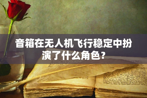 音箱在无人机飞行稳定中扮演了什么角色？