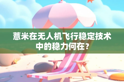 薏米在无人机飞行稳定技术中的稳力何在？