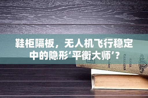 鞋柜隔板，无人机飞行稳定中的隐形‘平衡大师’？