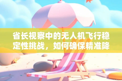 省长视察中的无人机飞行稳定性挑战，如何确保精准降落？
