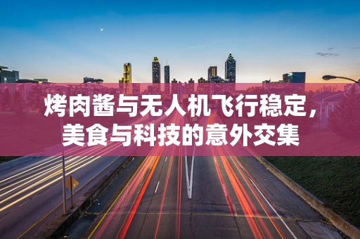 烤肉酱与无人机飞行稳定，美食与科技的意外交集