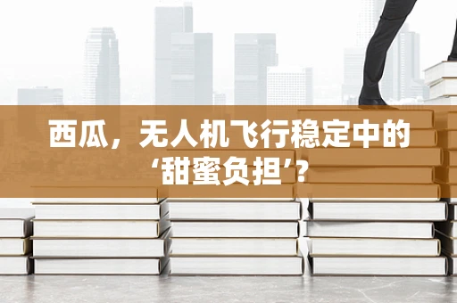 西瓜，无人机飞行稳定中的‘甜蜜负担’？