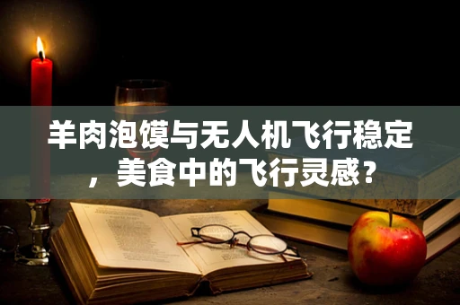 羊肉泡馍与无人机飞行稳定，美食中的飞行灵感？