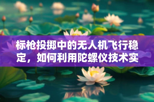 标枪投掷中的无人机飞行稳定，如何利用陀螺仪技术实现精准定位？