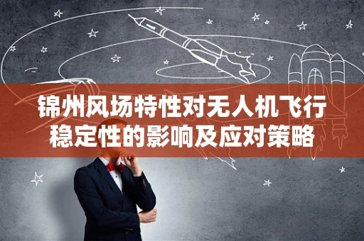 锦州风场特性对无人机飞行稳定性的影响及应对策略