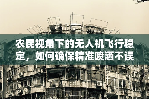 农民视角下的无人机飞行稳定，如何确保精准喷洒不误农时？