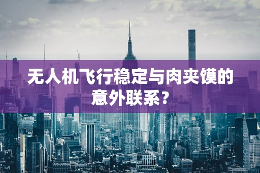 无人机飞行稳定与肉夹馍的意外联系？
