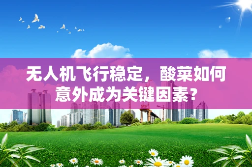 无人机飞行稳定，酸菜如何意外成为关键因素？
