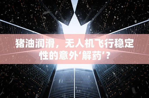 猪油润滑，无人机飞行稳定性的意外‘解药’？