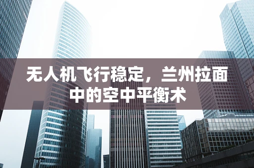无人机飞行稳定，兰州拉面中的空中平衡术
