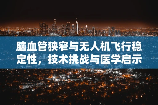 脑血管狭窄与无人机飞行稳定性，技术挑战与医学启示