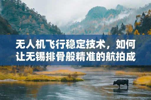 无人机飞行稳定技术，如何让无锡排骨般精准的航拍成为可能？