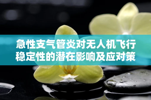 急性支气管炎对无人机飞行稳定性的潜在影响及应对策略