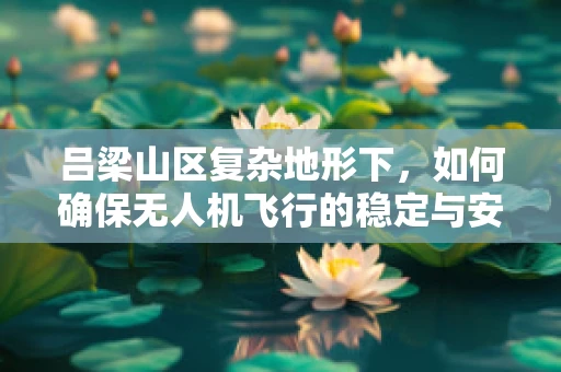 吕梁山区复杂地形下，如何确保无人机飞行的稳定与安全？