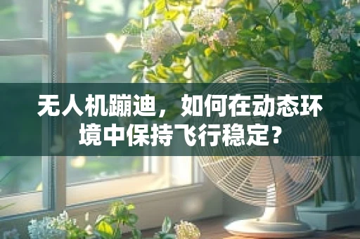 无人机蹦迪，如何在动态环境中保持飞行稳定？