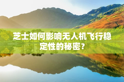 芝士如何影响无人机飞行稳定性的秘密？