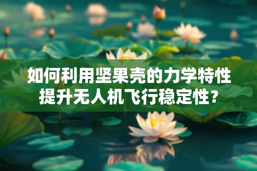 如何利用坚果壳的力学特性提升无人机飞行稳定性？