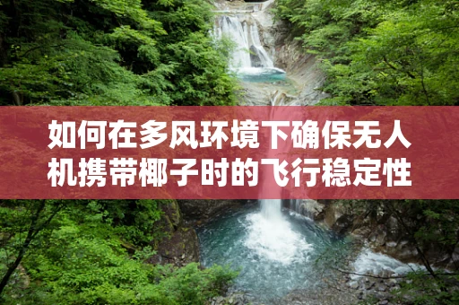 如何在多风环境下确保无人机携带椰子时的飞行稳定性？