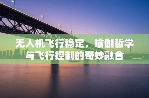 无人机飞行稳定，瑜伽哲学与飞行控制的奇妙融合