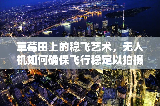 草莓田上的稳飞艺术，无人机如何确保飞行稳定以拍摄完美草莓园？
