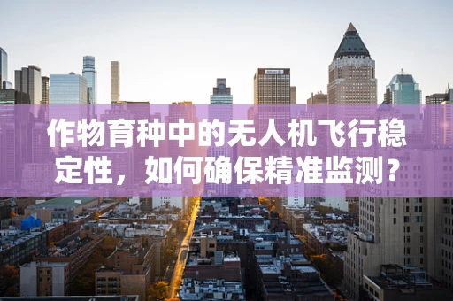 作物育种中的无人机飞行稳定性，如何确保精准监测？
