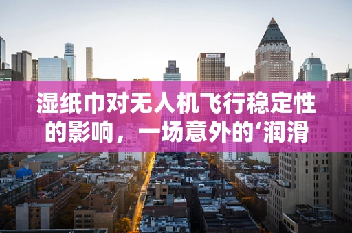 湿纸巾对无人机飞行稳定性的影响，一场意外的‘润滑’实验