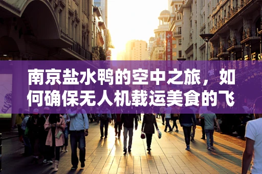 南京盐水鸭的空中之旅，如何确保无人机载运美食的飞行稳定？