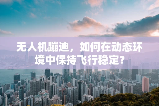 无人机蹦迪，如何在动态环境中保持飞行稳定？