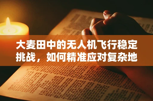 大麦田中的无人机飞行稳定挑战，如何精准应对复杂地形？