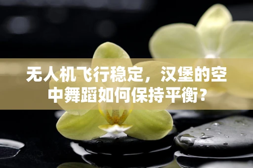 无人机飞行稳定，汉堡的空中舞蹈如何保持平衡？