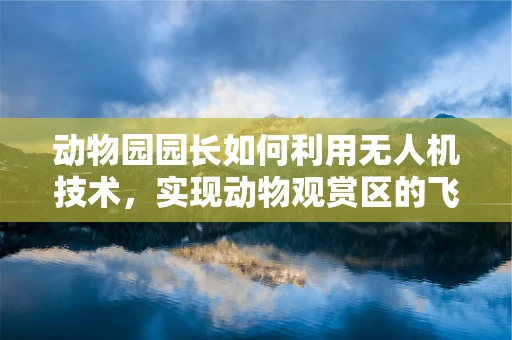 动物园园长如何利用无人机技术，实现动物观赏区的飞行稳定？