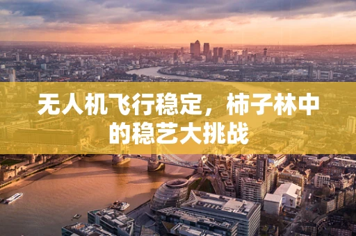 无人机飞行稳定，柿子林中的稳艺大挑战