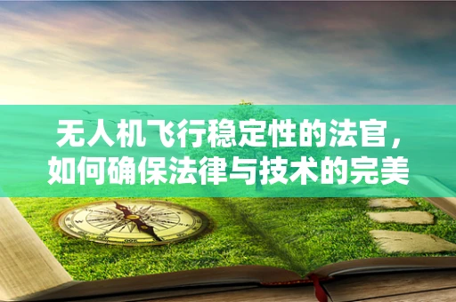 无人机飞行稳定性的法官，如何确保法律与技术的完美平衡？